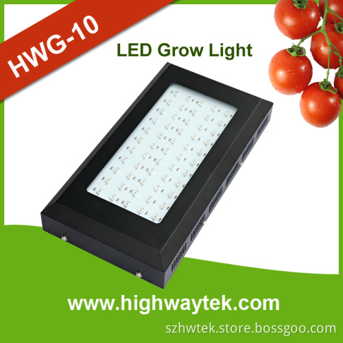 200W Newest Full Spectrum LED Grow Lights for Flower Veg